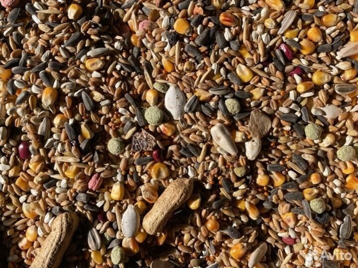 Корм для птиц, грызунов