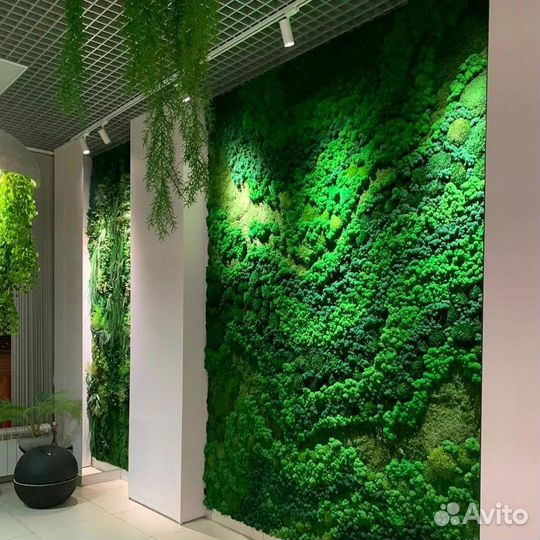 Озеленение и фитостены