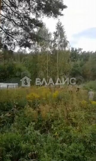 Участок 10,8 сот. (СНТ, ДНП)