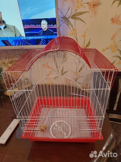 Клетка для среднего попугая