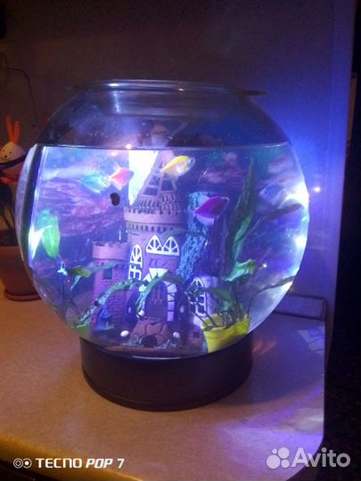 Аквариум круглый