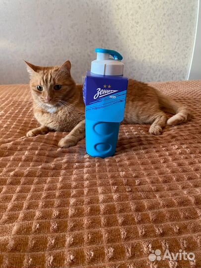 Бутылка для воды (500 мл) Зенит