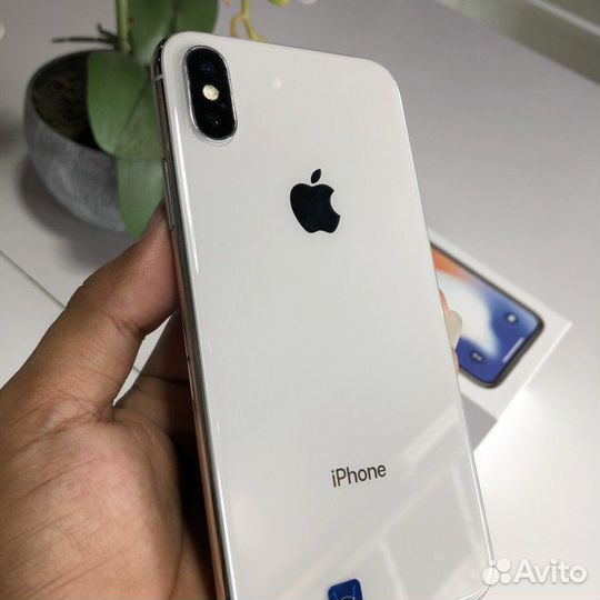 iPhone X, 256 ГБ