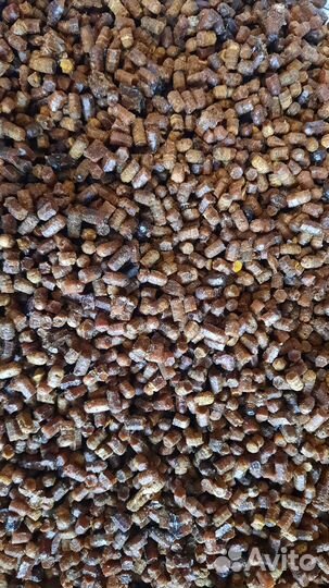 Перга пчелиная