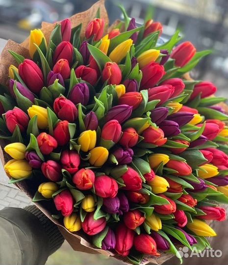 Тюльпаны к 8 марта букеты