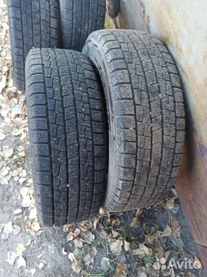 Foman Polar Bear 6.50/65 R6.5 91T