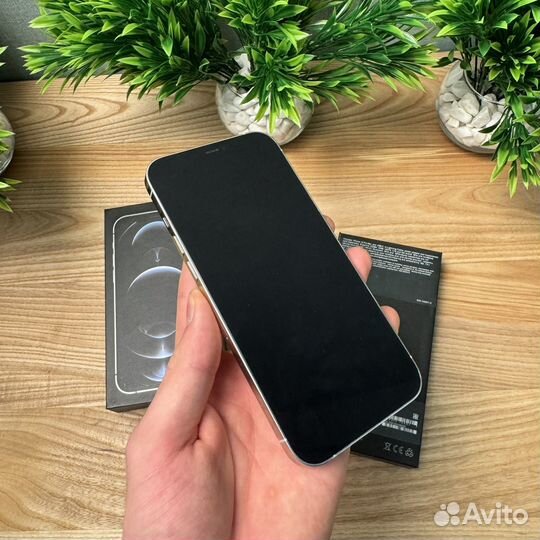 iPhone 12 Pro Max, 256 ГБ