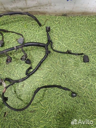Проводка двигателя Mazda 3 Bk хэтчбек 1.6 Z6 2007