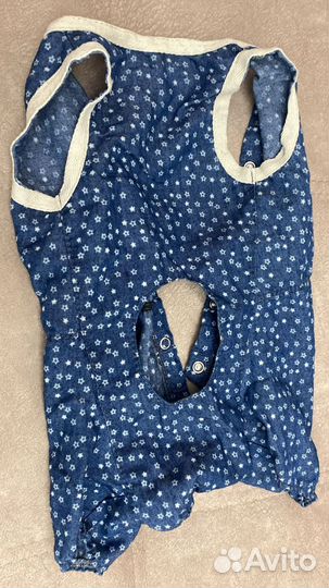 Одежда для кошек и собак