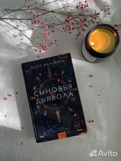 Сыновья дьявола,книга