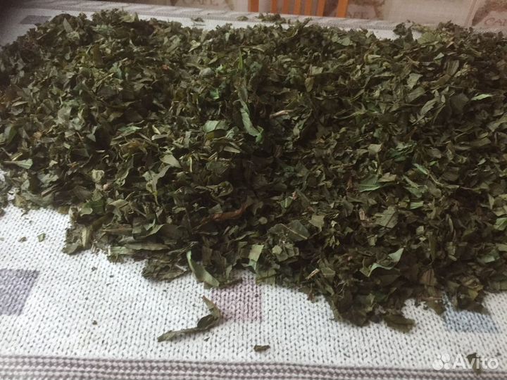 Иван-чай (кипрей)