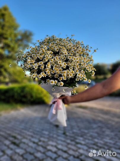 Ромашки Букет из ромашек доставка