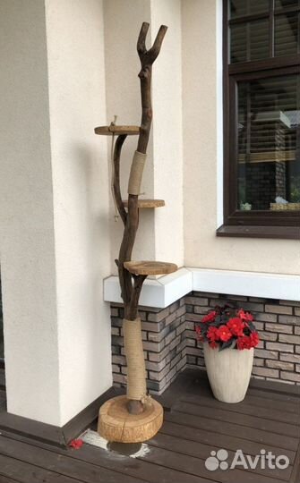 Когтеточка для кошки домик