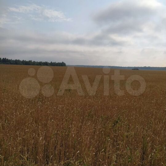 Участок 82 га (СНТ, ДНП)