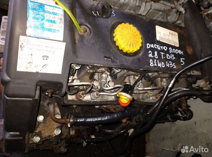 Двигатель фиат дукато 2,8 дизель