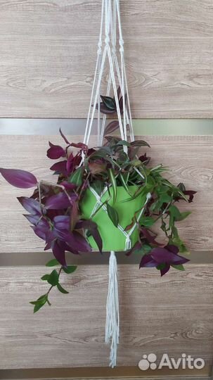 Цветы и кашпо подвесное