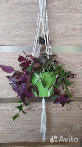 Цветы и кашпо подвесное