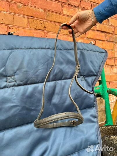 Шлем, капсуль, налобник, краги,ремни, недоуздок