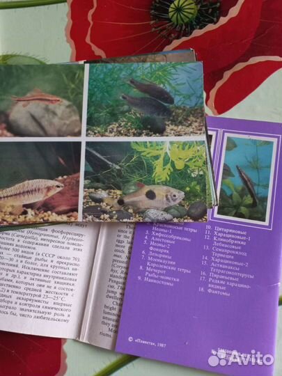 Открытки советские СССР