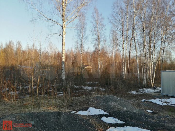 Участок 11 сот. (СНТ, ДНП)