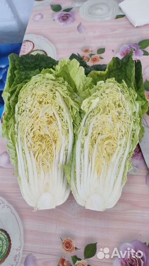 Пекинская капуста