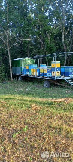 Прицеп для перевозки пчёл