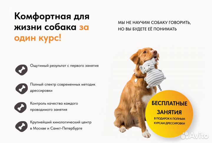 Услуги кинолога с выездом / Дрессировка собак