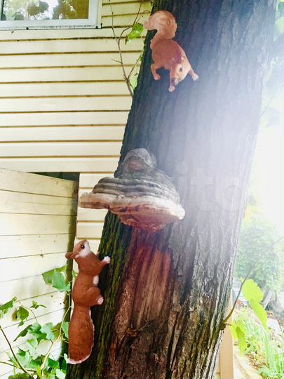 Дача 50 м² на участке 2 сот.