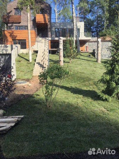 Продажа рулонного газона эконом