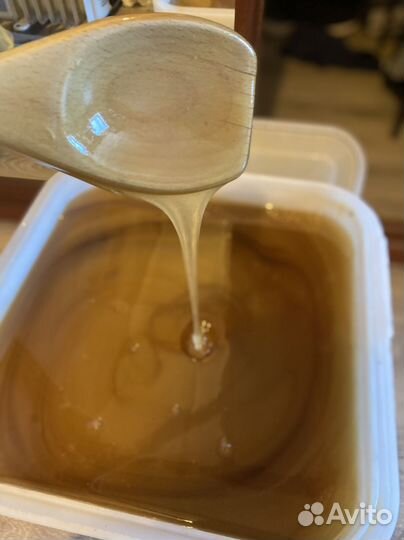 Мед с Алтайского края, своя пасека