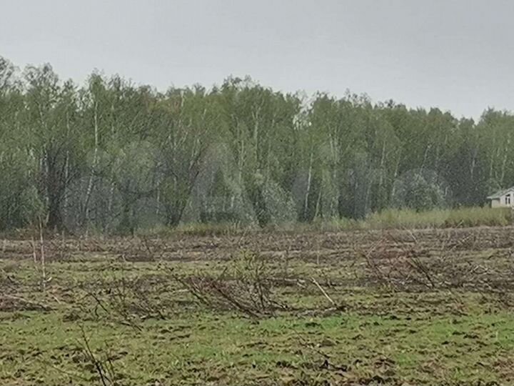 Участок 50 сот. (ИЖС)