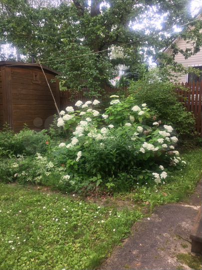 Дача 54 м² на участке 6 сот.