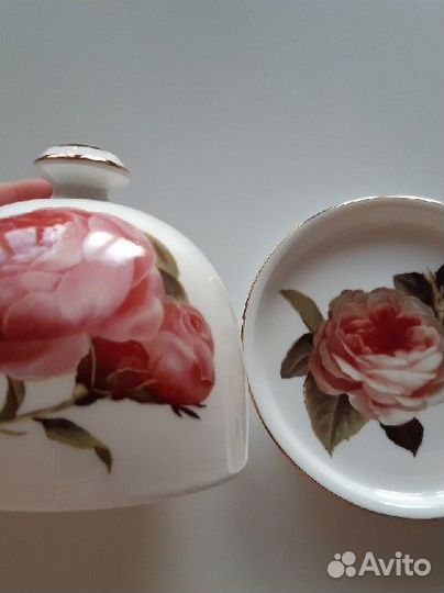 Масленка/Лимонница