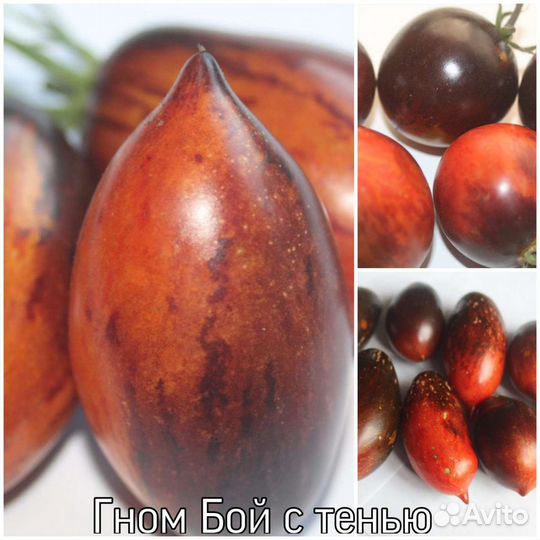 Семена томатов и перца на 2023 год