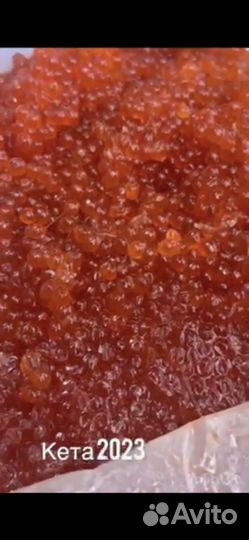 Красная икра 2023