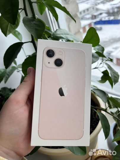 iPhone 13 mini