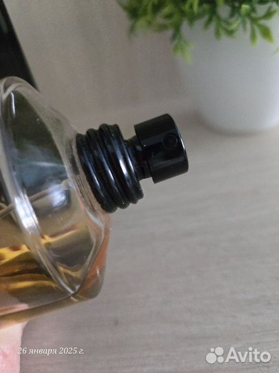 Black Intensitive Aoud Mancera Rodriguez For Her