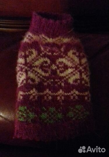 Одежда для животных