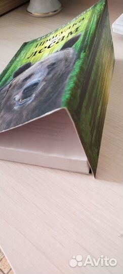 Книги о путешествиях