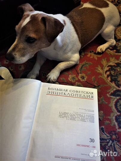 Большая советская энциклопедия бсэ в 30 томах