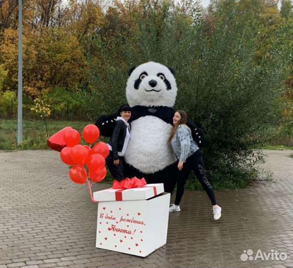 Аниматор, ростовая кукла, панда, поздравление