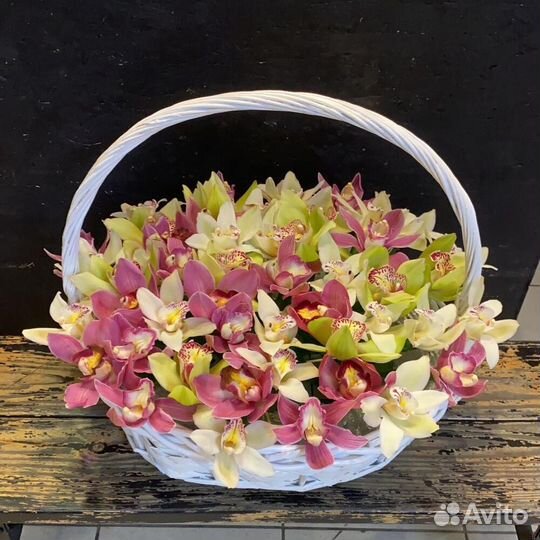 Орхидеи в корзине