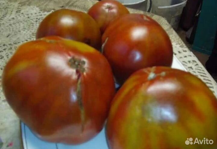Семена томатов,семена сортов помидор семена