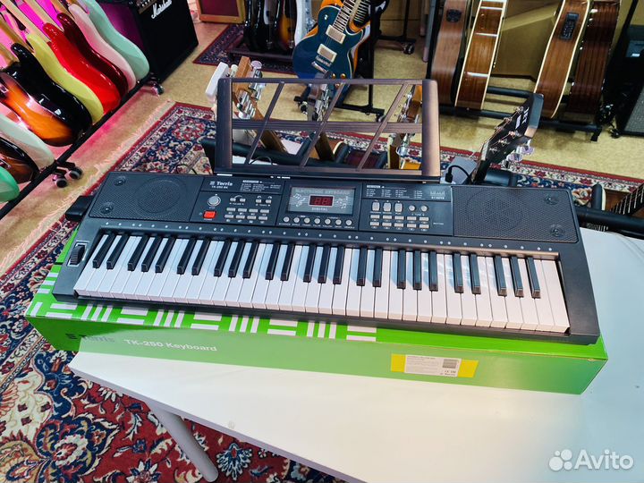 Синтезатор Terris Новый