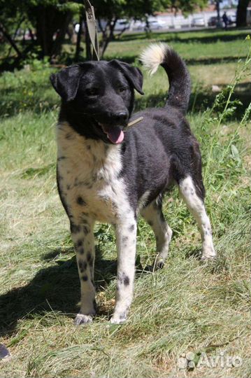 Замечательный мальчик Каен ждёт семью