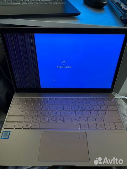 Asus zenbook UX390U