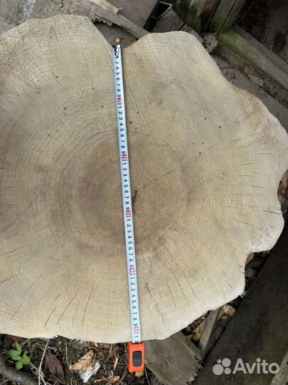 Слэб дерева и спилы