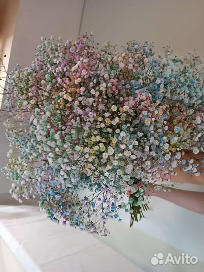 Гипсофила. Цветы. Букеты