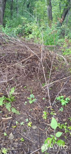 Измельчитель веток садовый