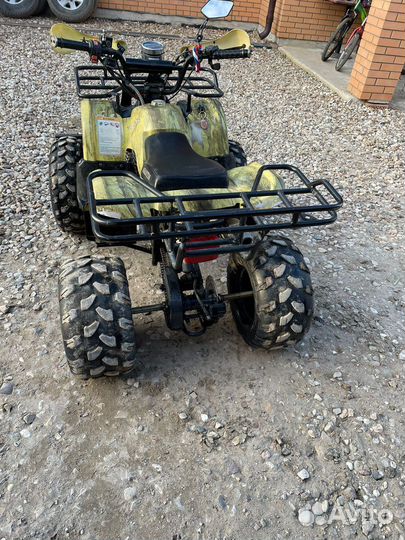 Avantis Hunter 8+ (125)